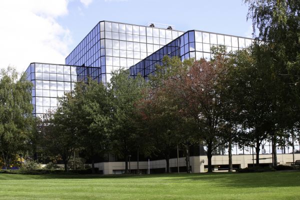 Commercial Tree Trimming in Fairfax